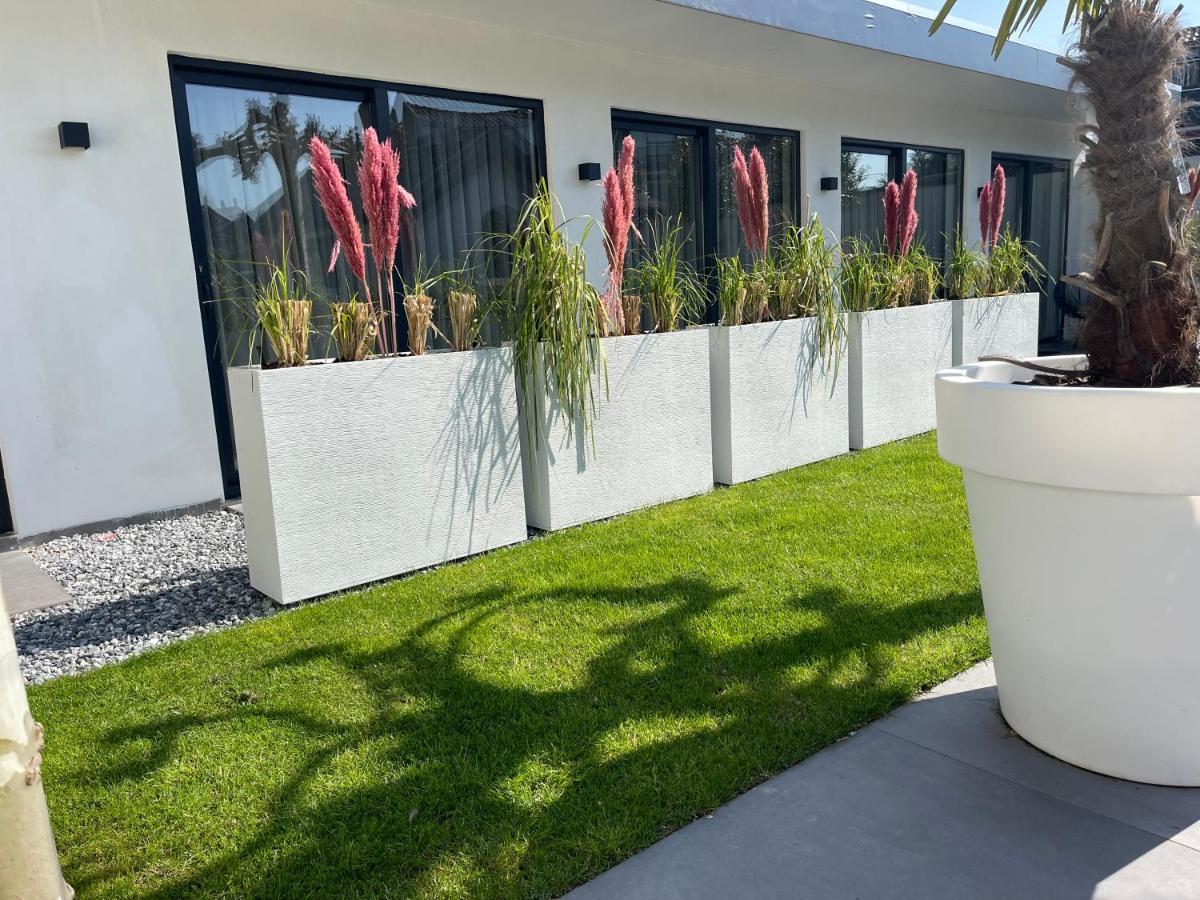 B&B Bubbles&Bites Oostvoorne Bagian luar foto
